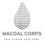 Wacoal corp